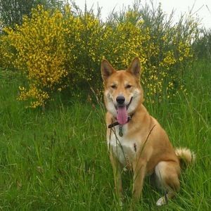 Meet your Posher, Erin